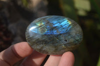 Polished Labradorite Galet / Palm Stones x 12 From Tulear, Madagascar