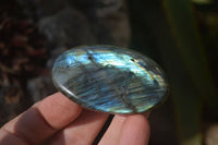 Polished Labradorite Galet / Palm Stones x 12 From Tulear, Madagascar