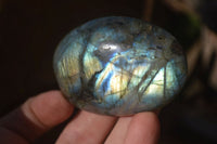 Polished Labradorite Galet / Palm Stones x 12 From Tulear, Madagascar