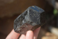 Natural Alluvial Schorl Black Tourmaline Crystals x 18 From Zimbabwe