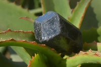 Natural Alluvial Schorl Black Tourmaline Crystals x 18 From Zimbabwe