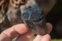 Natural Alluvial Schorl Black Tourmaline Crystals x 18 From Zimbabwe