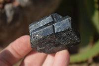 Natural Alluvial Schorl Black Tourmaline Crystals x 18 From Zimbabwe