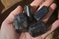 Natural Alluvial Schorl Black Tourmaline Crystals x 18 From Zimbabwe