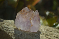 Polished Window Amethyst Crystals x 6 From Ankazobe, Madagascar