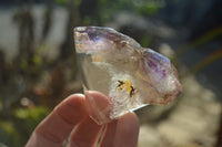 Polished Window Amethyst Crystals x 6 From Ankazobe, Madagascar