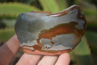 Polished On One Side Polychrome Jasper Nodules x 12 From Mahajanga, Madagascar