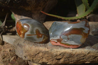 Polished On One Side Polychrome Jasper Nodules x 12 From Mahajanga, Madagascar