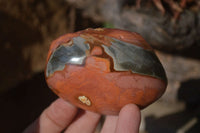 Polished On One Side Polychrome Jasper Nodules x 12 From Mahajanga, Madagascar