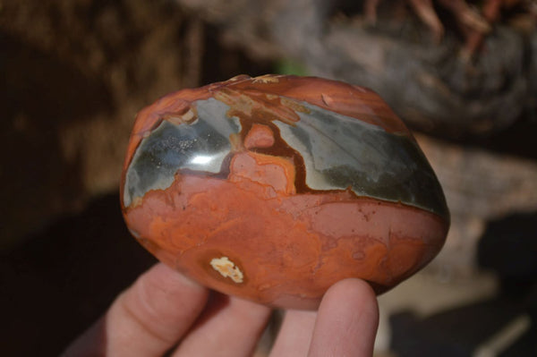 Polished On One Side Polychrome Jasper Nodules x 12 From Mahajanga, Madagascar