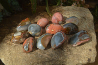 Polished On One Side Polychrome Jasper Nodules x 12 From Mahajanga, Madagascar