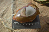 Polished On One Side Polychrome Jasper Nodules x 12 From Mahajanga, Madagascar