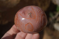 Polished On One Side Polychrome Jasper Nodules x 12 From Mahajanga, Madagascar