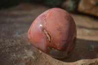 Polished On One Side Polychrome Jasper Nodules x 12 From Mahajanga, Madagascar