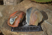 Polished On One Side Polychrome Jasper Nodules x 12 From Mahajanga, Madagascar