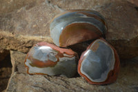 Polished On One Side Polychrome Jasper Nodules x 12 From Mahajanga, Madagascar