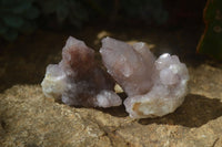 Natural Amethyst / Ametrine Spirit Quartz Clusters x 12 From Boekenhouthoek, South Africa