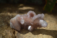 Natural Amethyst / Ametrine Spirit Quartz Clusters x 12 From Boekenhouthoek, South Africa