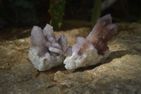 Natural Amethyst / Ametrine Spirit Quartz Clusters x 12 From Boekenhouthoek, South Africa