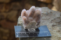 Natural Amethyst / Ametrine Spirit Quartz Clusters x 12 From Boekenhouthoek, South Africa