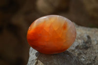 Polished Carnelian Galet / Palm Stones x 12 From Madagascar