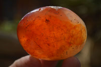 Polished Carnelian Galet / Palm Stones x 12 From Madagascar