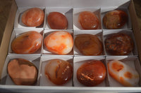 Polished Carnelian Galet / Palm Stones x 12 From Madagascar