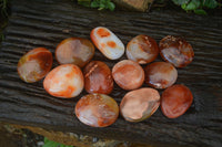 Polished Carnelian Galet / Palm Stones x 12 From Madagascar