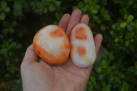 Polished Carnelian Galet / Palm Stones x 12 From Madagascar