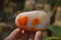 Polished Carnelian Galet / Palm Stones x 12 From Madagascar