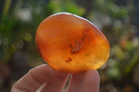 Polished Carnelian Galet / Palm Stones x 12 From Madagascar