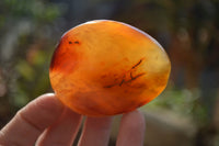 Polished Carnelian Galet / Palm Stones x 12 From Madagascar