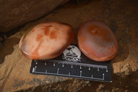 Polished Carnelian Galet / Palm Stones x 12 From Madagascar