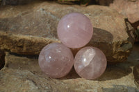 Polished Star Rose Quartz Spheres x 3 From Madagascar