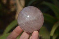 Polished Star Rose Quartz Spheres x 3 From Madagascar