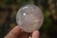 Polished Star Rose Quartz Spheres x 3 From Madagascar