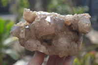 Natural Smokey Quartz Clusters x 2 From Luena, Congo