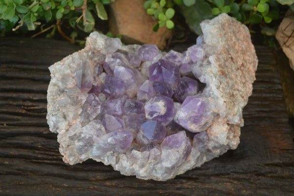 Natural Jacaranda Amethyst Cluster x 1 From Mumbwa, Zambia