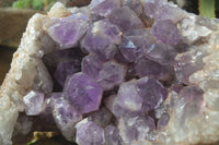 Natural Jacaranda Amethyst Cluster x 1 From Mumbwa, Zambia