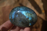 Polished Labradorite Galets / Palm Stones x 12 From Tulear, Madagascar