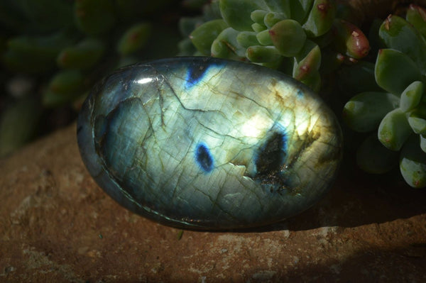 Polished Labradorite Galets / Palm Stones x 12 From Tulear, Madagascar