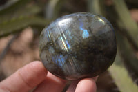 Polished Labradorite Galets / Palm Stones x 12 From Tulear, Madagascar