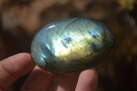 Polished Labradorite Galets / Palm Stones x 12 From Tulear, Madagascar