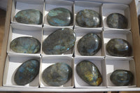 Polished Labradorite Galets / Palm Stones x 12 From Tulear, Madagascar