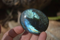 Polished Labradorite Galets / Palm Stones x 12 From Tulear, Madagascar