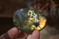 Polished Labradorite Galets / Palm Stones x 12 From Tulear, Madagascar