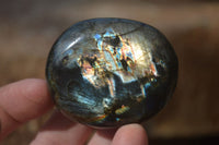 Polished Labradorite Galets / Palm Stones x 12 From Tulear, Madagascar