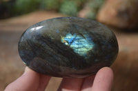 Polished Labradorite Galets / Palm Stones x 12 From Tulear, Madagascar