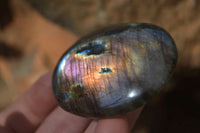 Polished Labradorite Galets / Palm Stones x 12 From Tulear, Madagascar