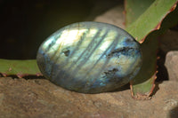 Polished Labradorite Galets / Palm Stones x 12 From Tulear, Madagascar